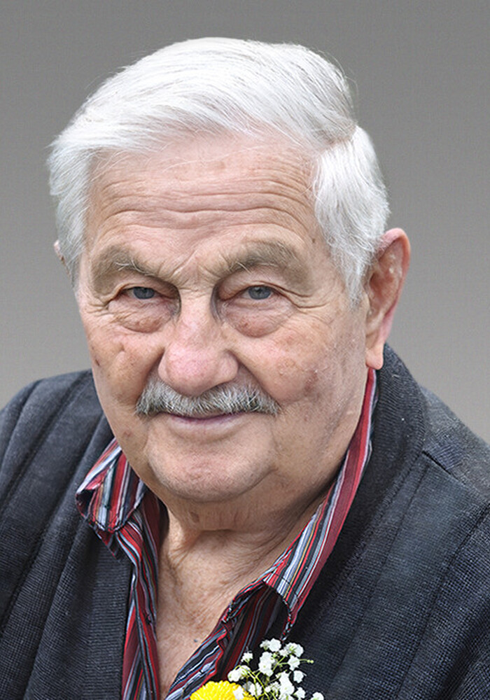 Georges-Henri Beaumont
