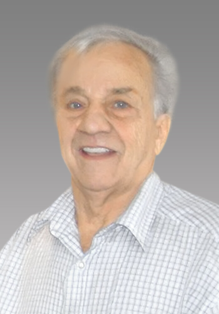 Michel Boulet